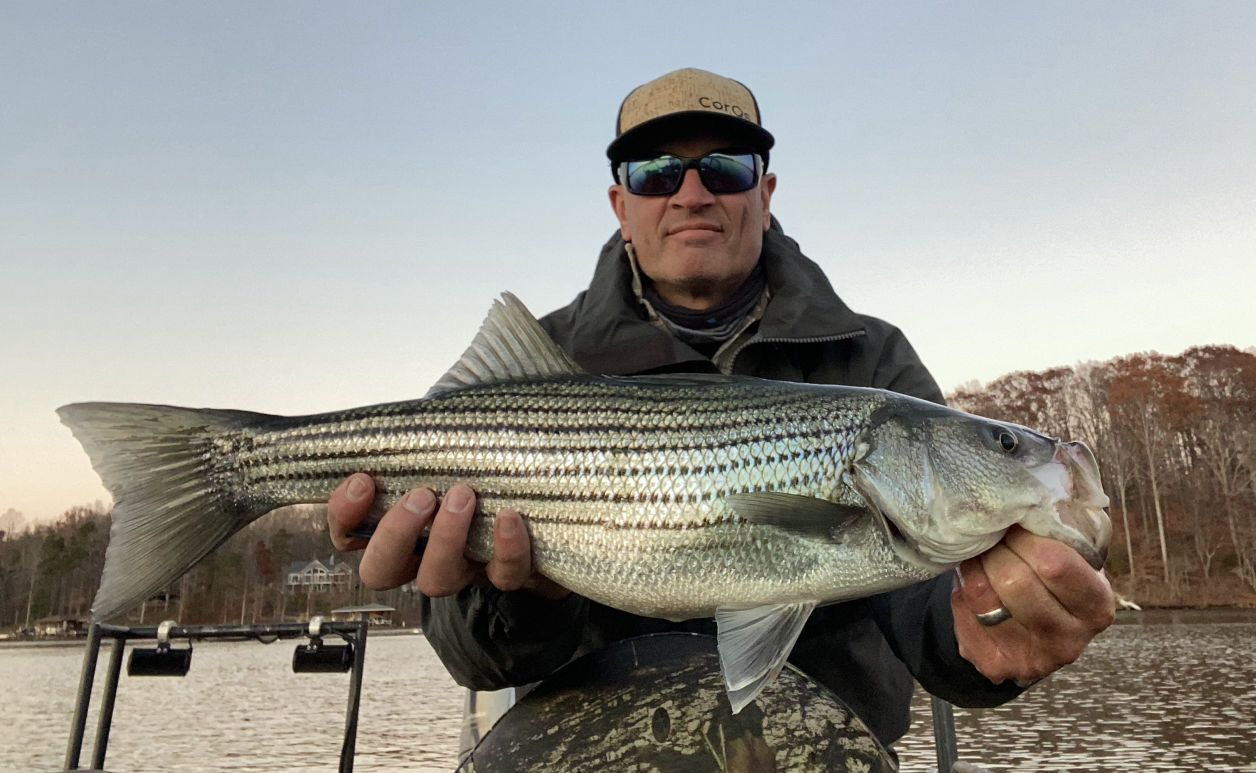 Striper Fishing at Lake Anna