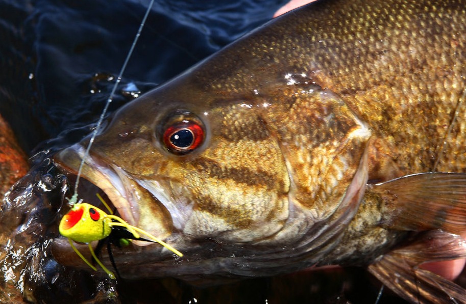 Crappie Fishing on Lake Anna